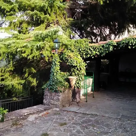 Delle Rose Bossolasco